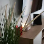 Appartamento Pod Zurawiem Chmielna 110 By Alqueen