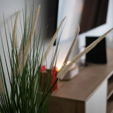 Appartamento Pod Zurawiem Chmielna 110 By Alqueen